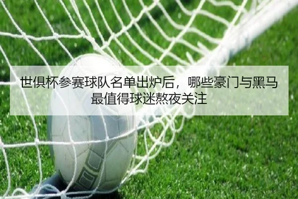世俱杯参赛球队名单出炉后，哪些豪门与黑马最值得球迷熬夜关注 | WEN DINHG YU LE